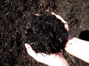 Double Black Mulch - 2 CF Bag